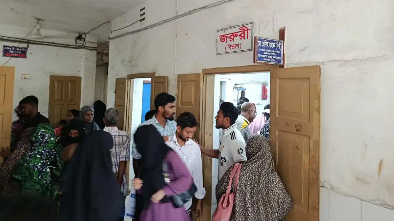 দৌলতপুরে সাপ আতঙ্ক, আক্রান্ত ৮ জনের মধ্যে এক শিশুর মৃত্যু